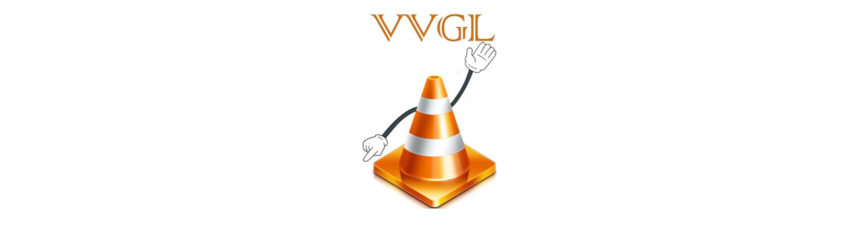 Vrijwillige Verkeersregelaars Gemeente Losser